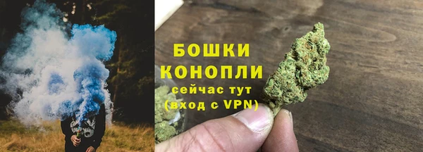 бутират Горнозаводск