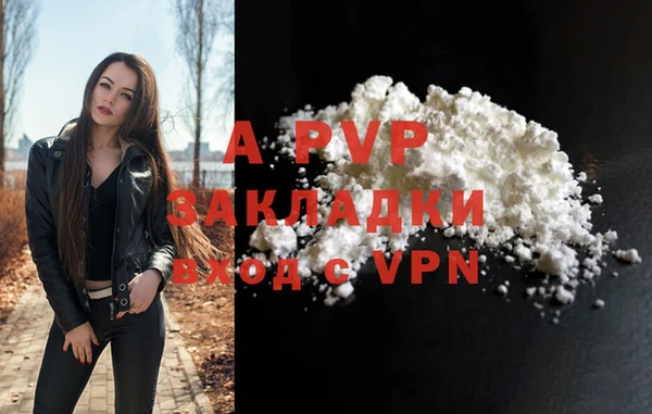 крисы Горняк