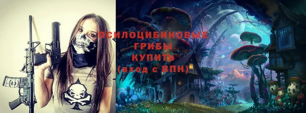 бутират Горнозаводск