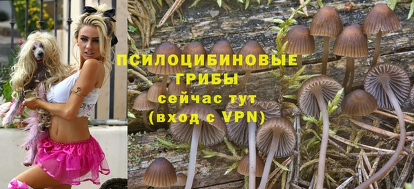 бутират Горнозаводск