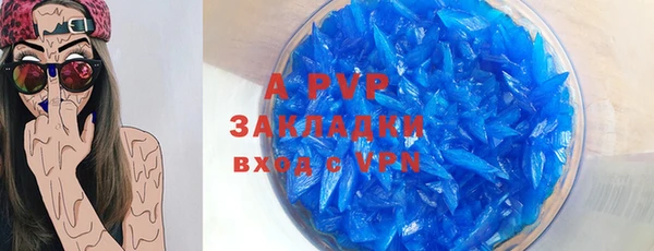 крисы Горняк