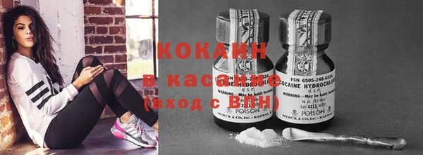 крисы Горняк