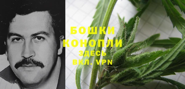 бутират Горнозаводск