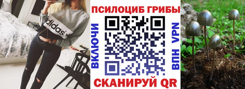 kraken как зайти  Заречный  Псилоцибиновые грибы GOLDEN TEACHER 